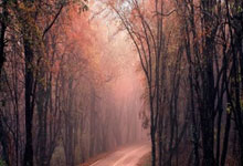 DeFi Token Performance Post-October Crash: A Data-Driven Analysis of 2025 Investor Shifts