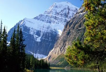 DeFi Token Performance Post-October Crash: A Data-Driven Analysis of 2025 Investor Shifts